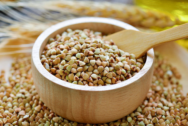 sprouted buckwheat groats, buckwheat health benefits and information page