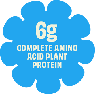 Blue label with white text indicating '6g complete amino acid plant protein' on a white background