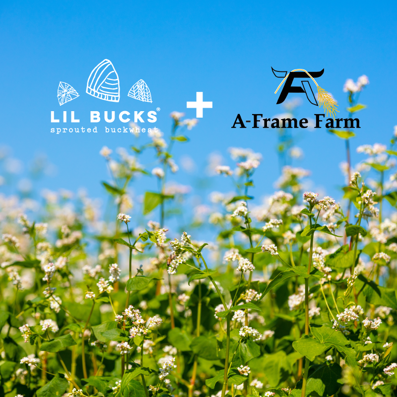 Lil Bucks and A Frame Farm Partnership