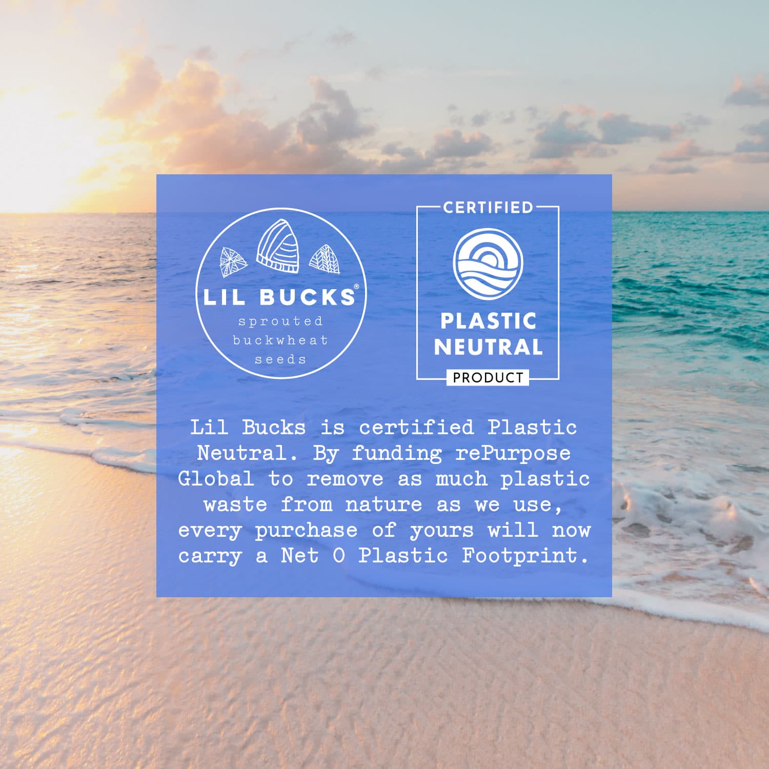 Plastic Neutral Brands You Need to Know