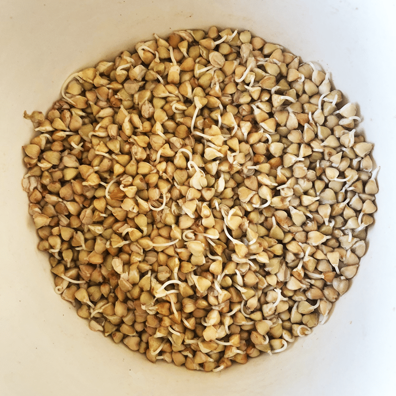 Why We Sprout and Dehydrate