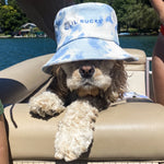 dog wearing lil bucks bucket hat